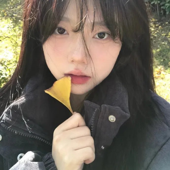 秘密使节